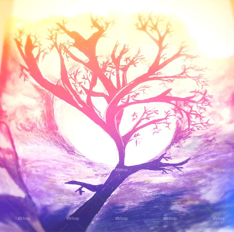 One of my drawings. Sunset tree.