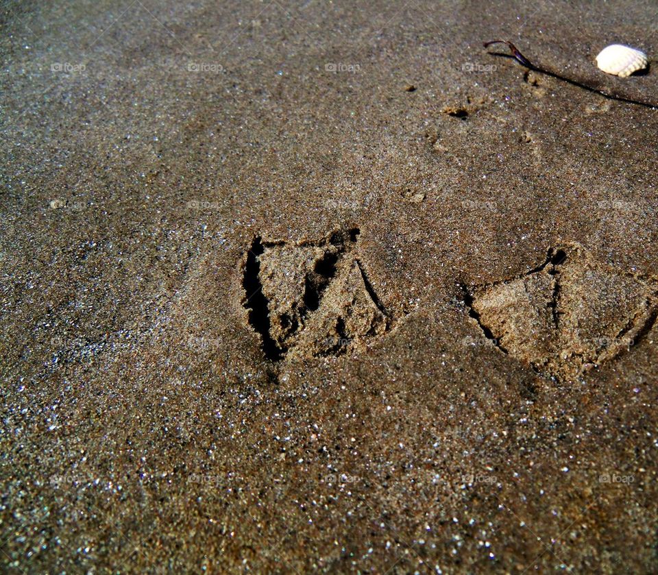 Feets in the sand