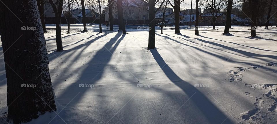 winter nature landscape beautiful sunlight and shadows