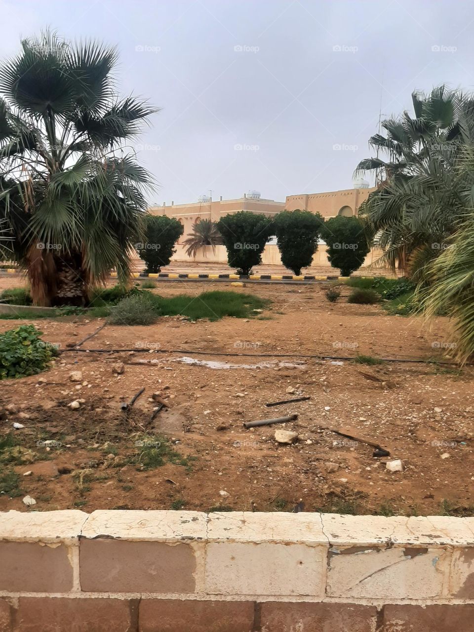 Please help me, I am very poor, I need your support and God is in need