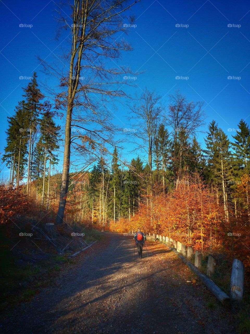 Jesień w Górach Orlických