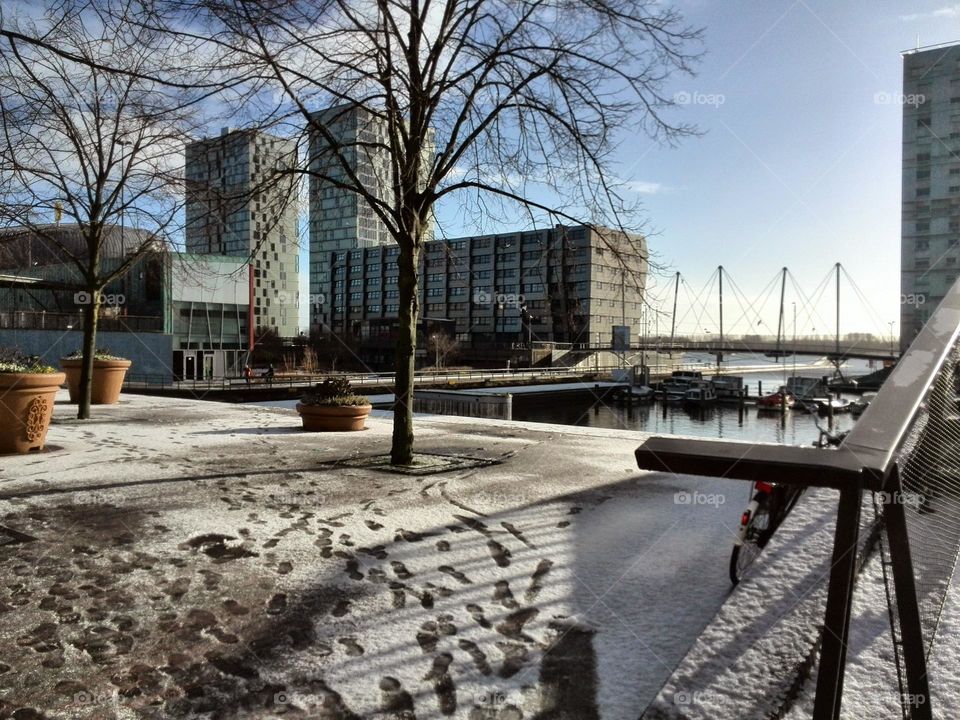 Sunny winter day in dutch city