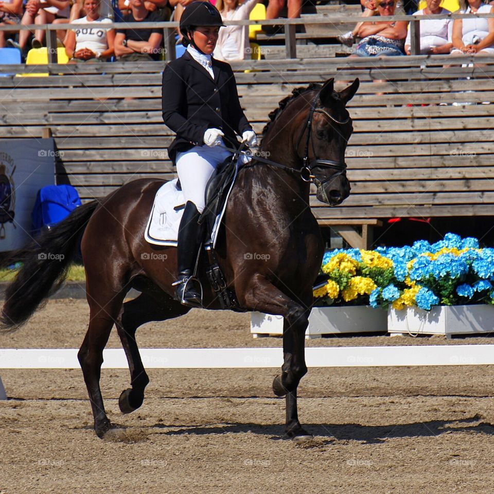 Dressage Falsterbo Horse Show