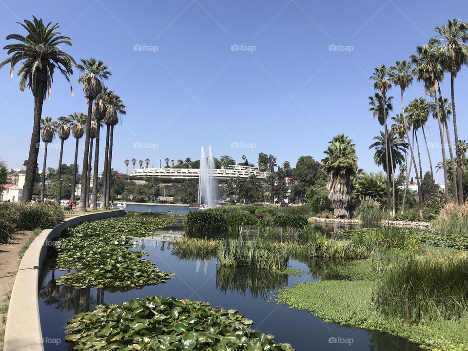 Echo Park