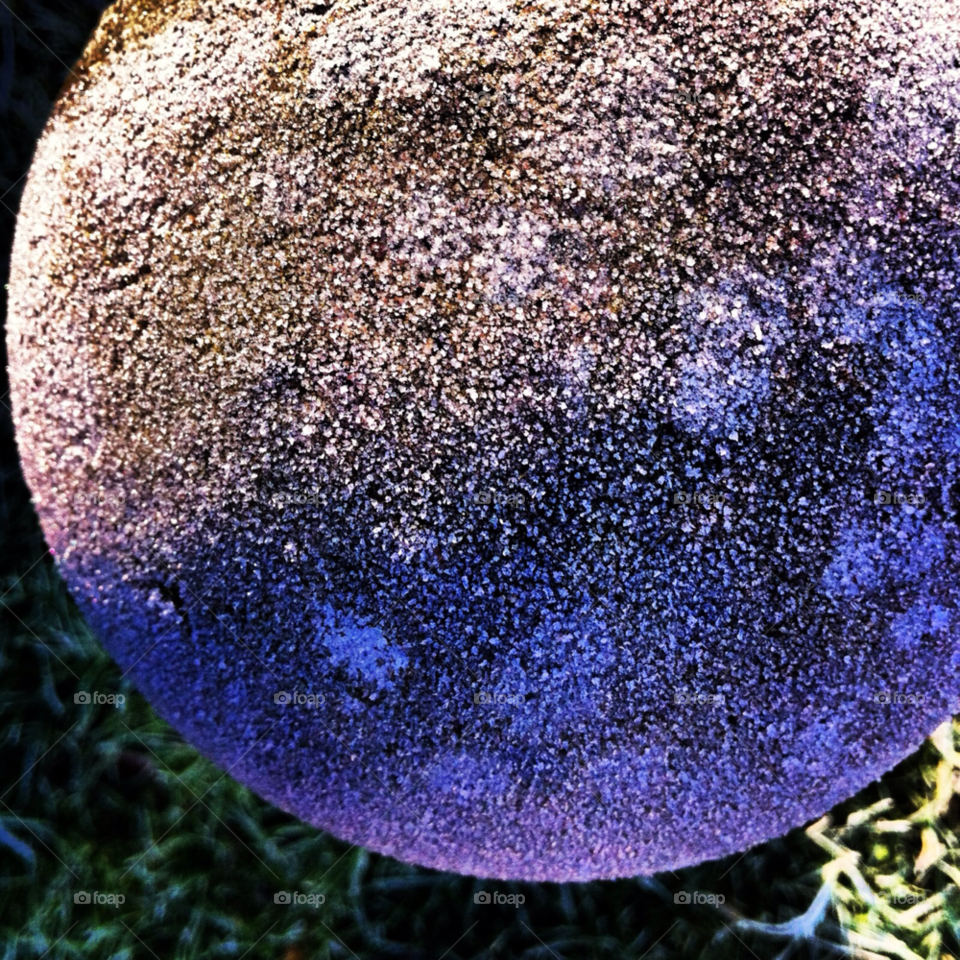 snow winter nature pretty by Zita