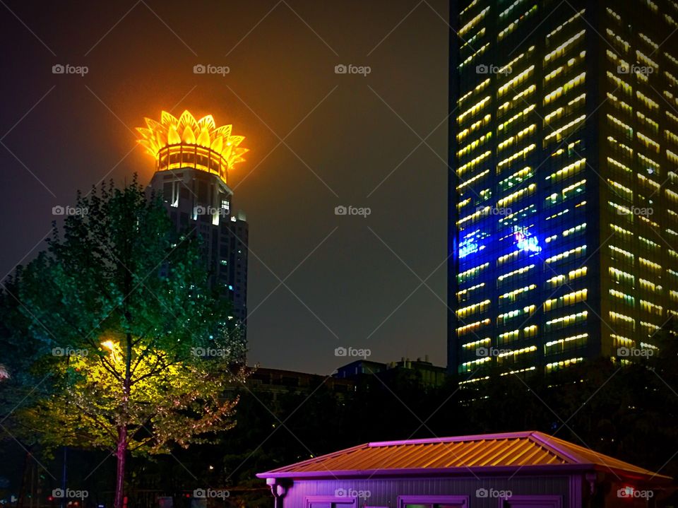 Shanghai nights