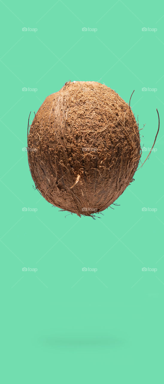 Coconut falling. 21:9