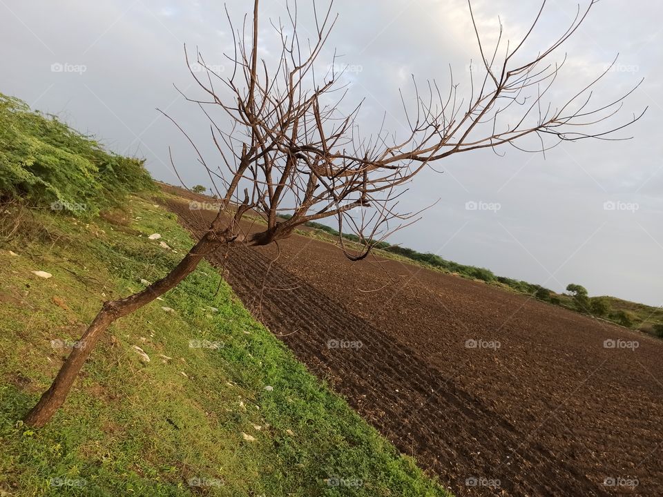 nothing more than nature.nature with no filters