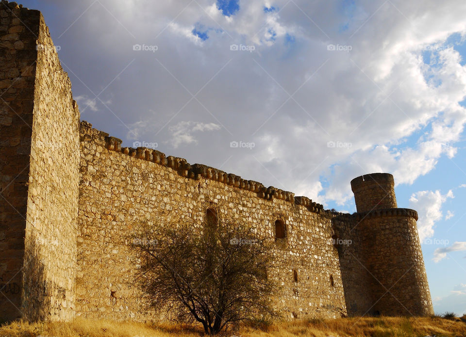 summer tree afternoon tower by alejandrorubiob