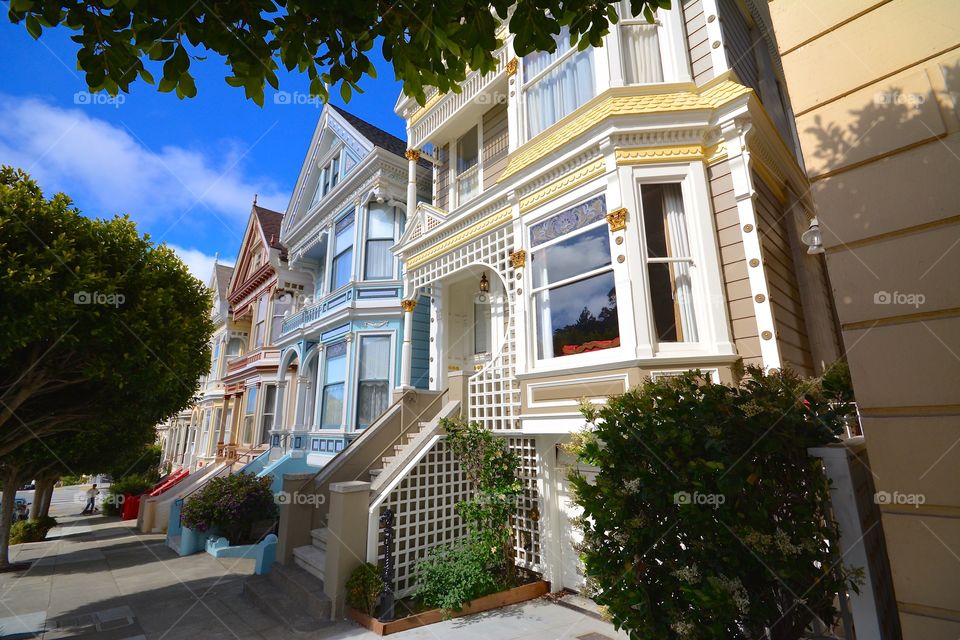 The magnificent Painted Ladies of San Francisco 