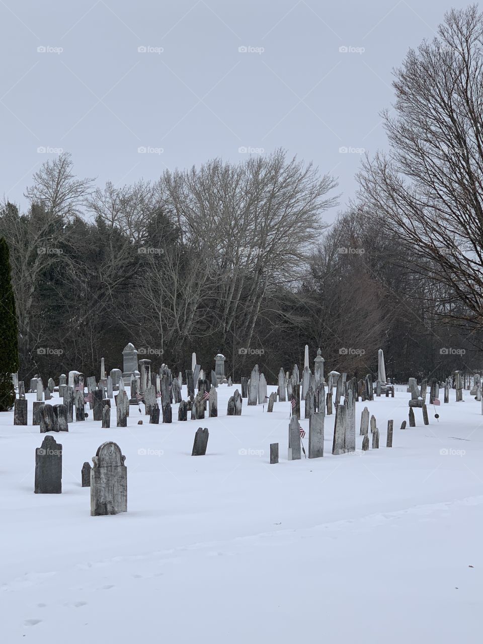 Snowy cemetery 