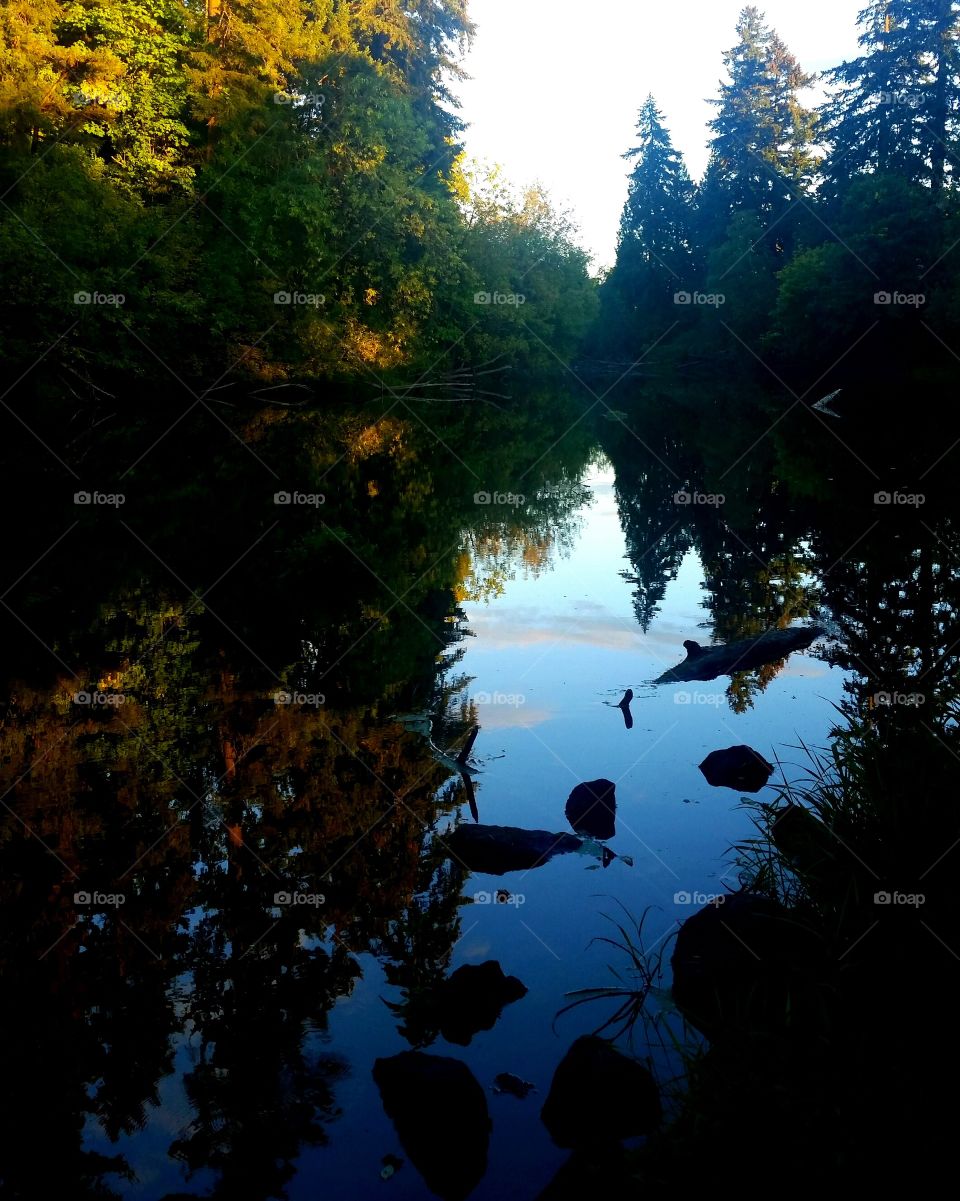 Tualatin, OREGON River