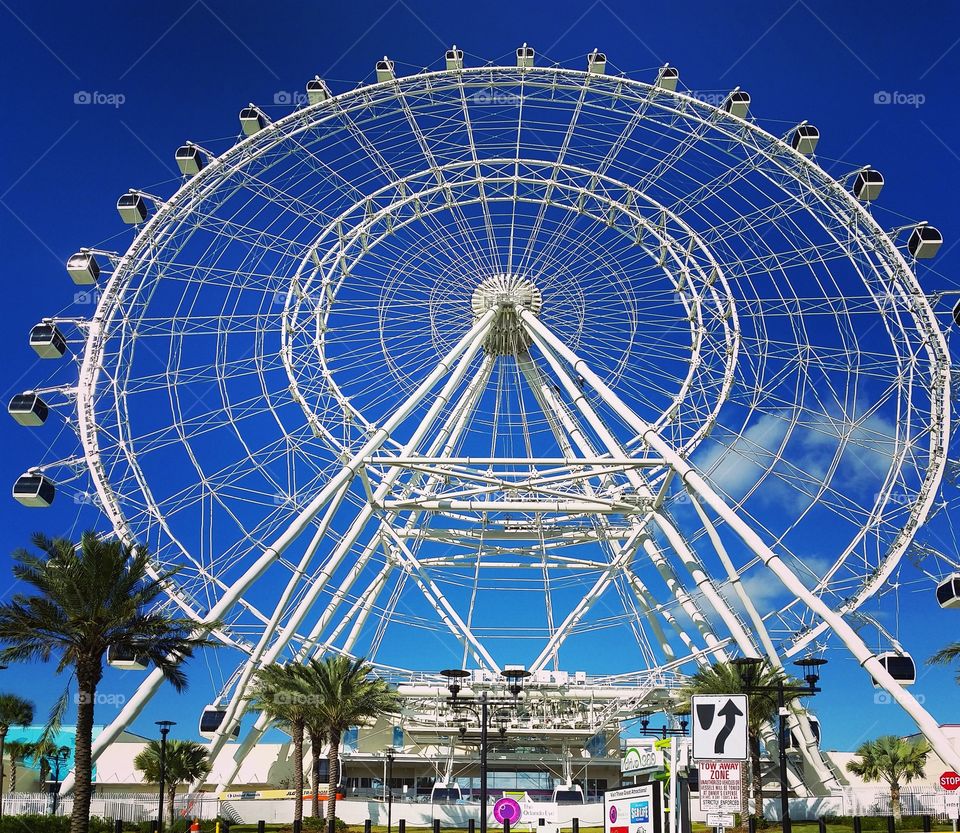 Orlando eye