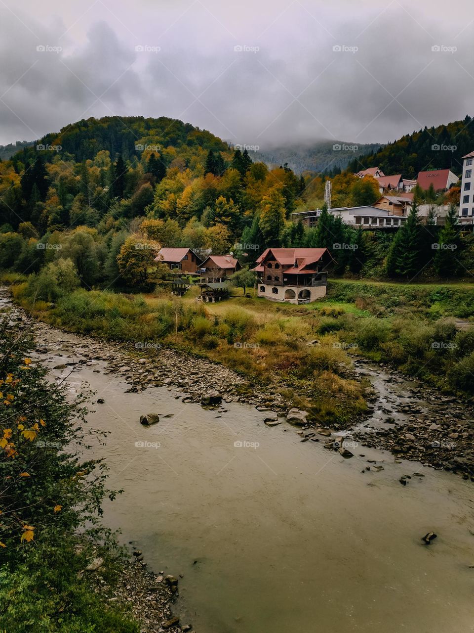 Small town in the mountains. Red rooftops among the autumn colorful trees. Pine forest on the mountain. Mountains horizon line. Village near the river. Mountain river's shore with dirty water top view. Vertical landscape, waterscape. Carpathians