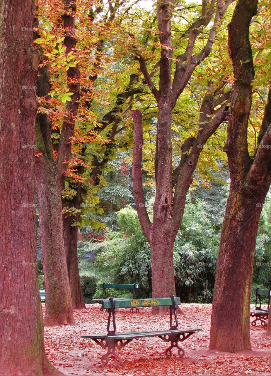 In the park