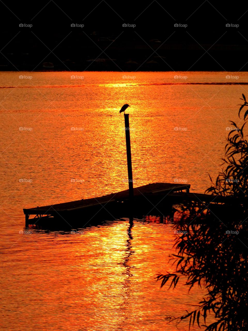 Beautiful view at sunset on the lake. 