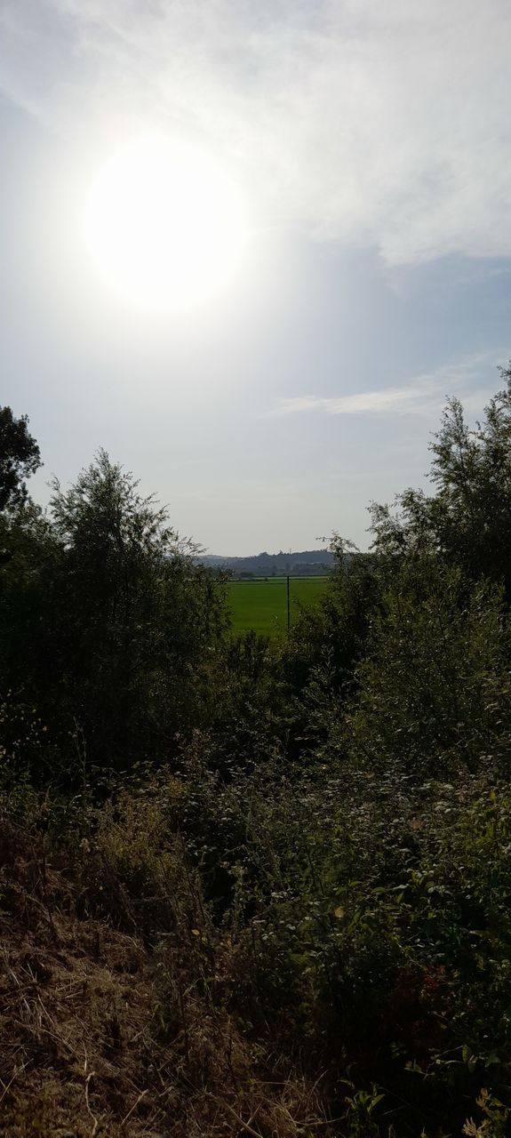 vistas