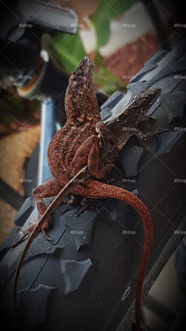 Nature. Our Nature is wonderful 