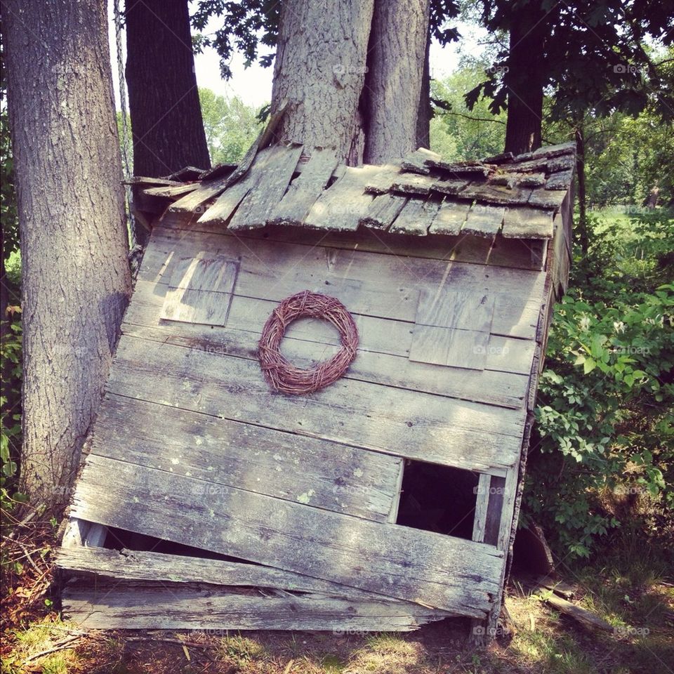 Treehouse in Summer