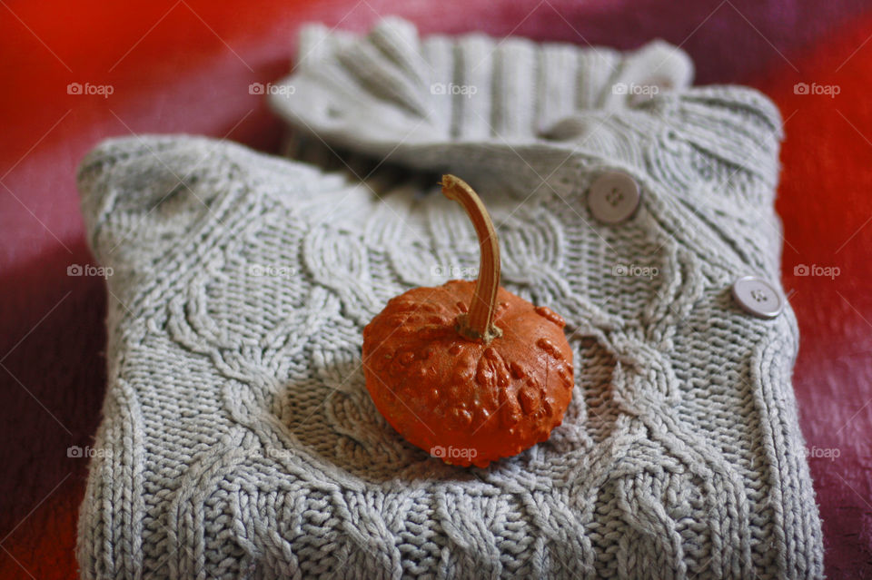 Warm sweater and a pumpkin 1