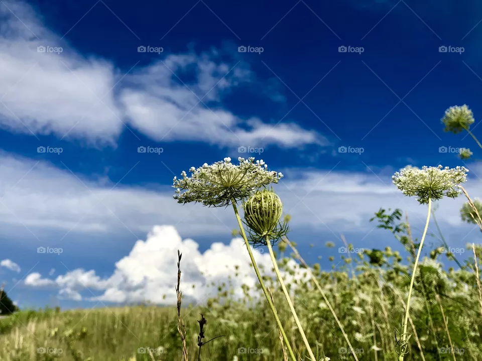 Oklahoma spring 