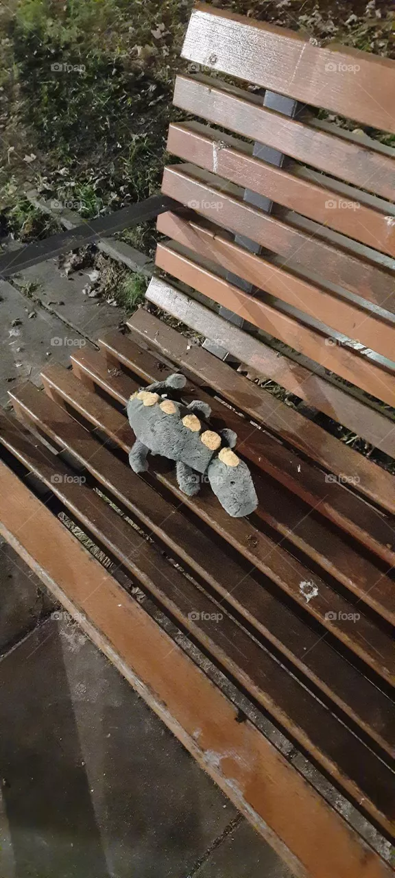 lost dinosaur