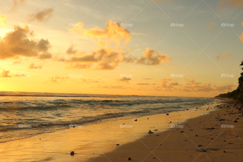 Scenic view of beach at sunset