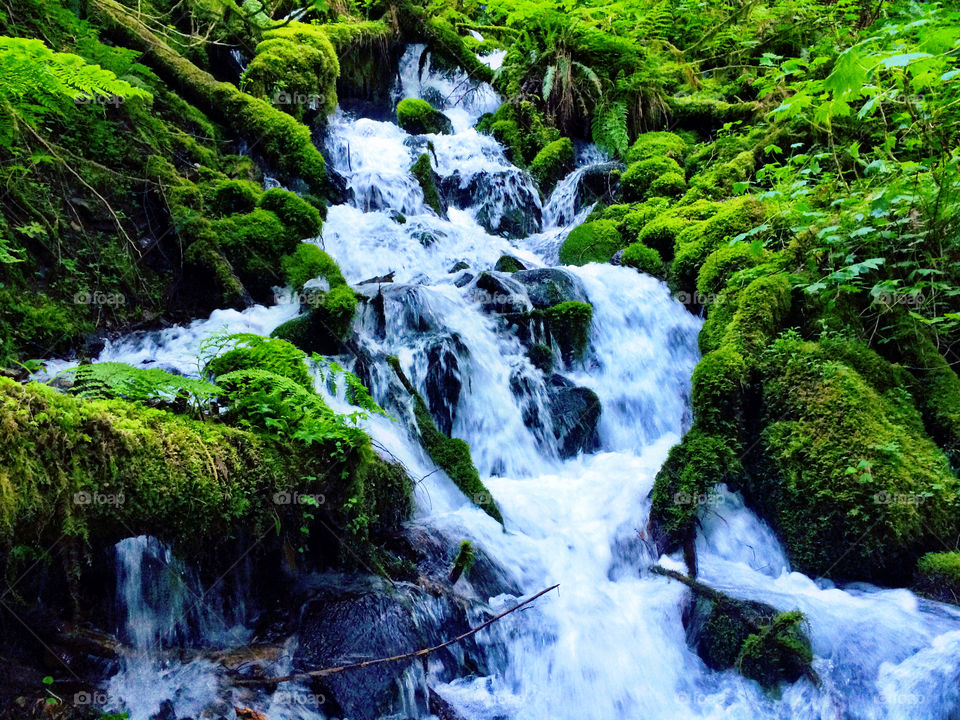 Tumbling Creek. Water flows down a drainage in the Columbia River Gorge in Oregon, U.S.