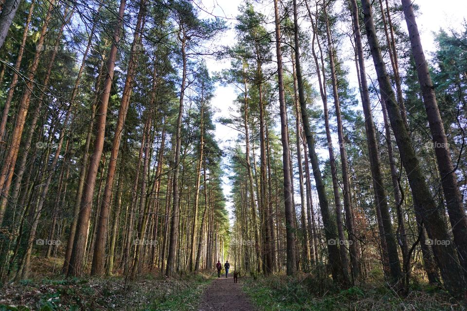 It makes me happy to go on long walks in the forest .. this photo shows my husband, son and our dog with me lagging behind taking photo’s as usual 😂