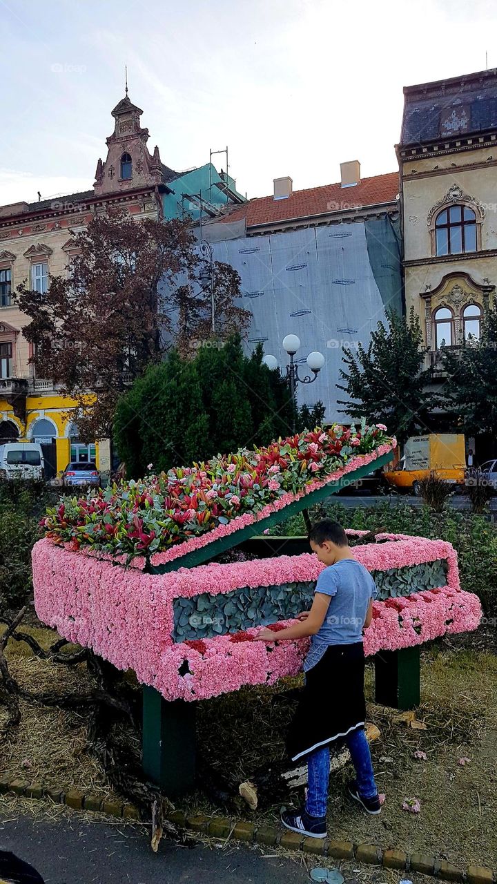 Flower piano. Music in harmony with nature