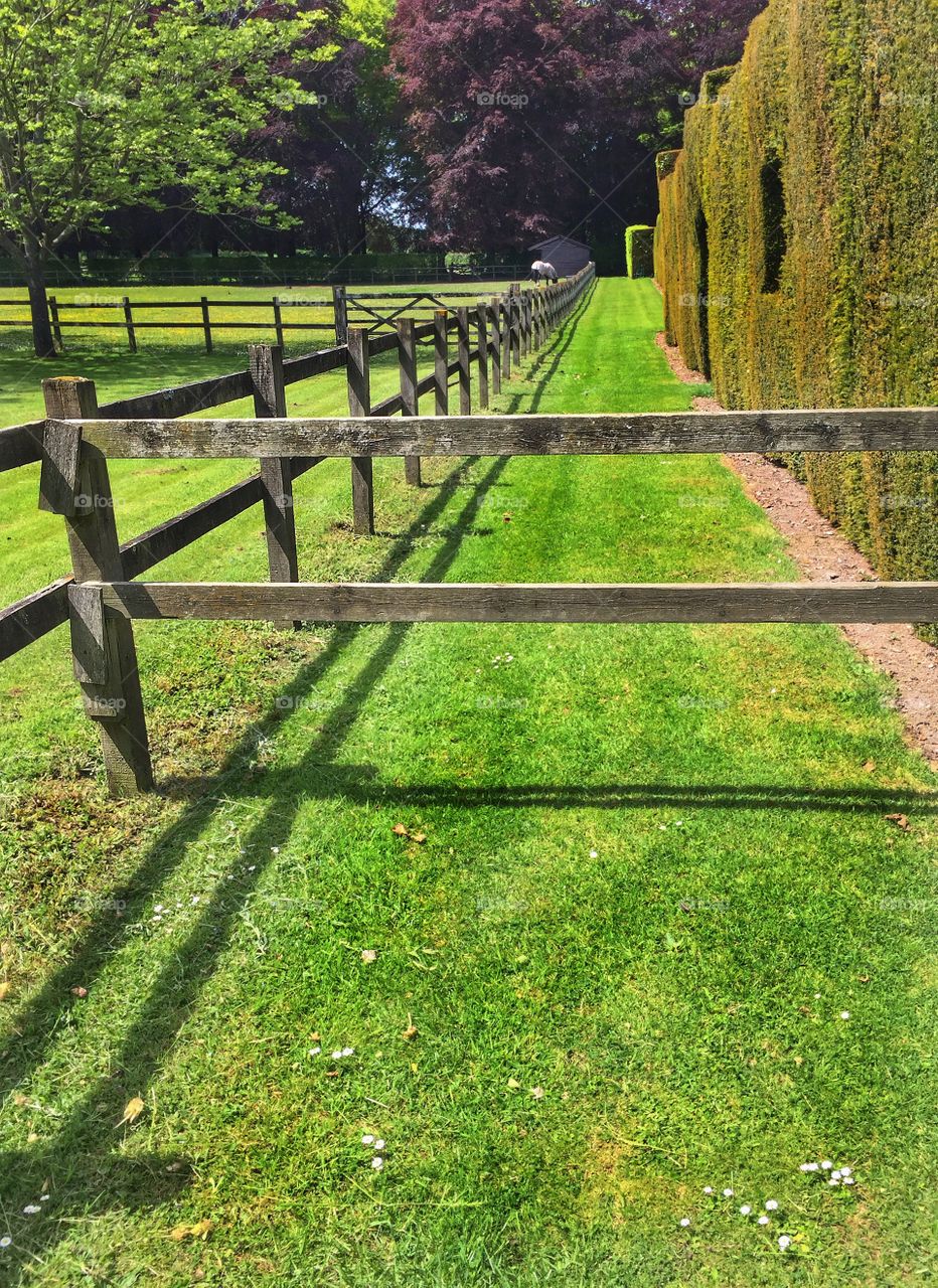 Equestrian Fence Angles And Perspective