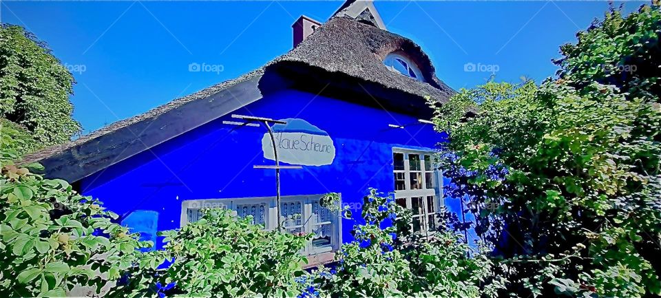 This is why the farmhouse that served „Astrid Nielsen“ and friends not only as a home but also as an art studio was called the „Blue Barn“, the „Blaue Scheune“. It was painted an intense indigo blue. 2022. Hypnotic Productions