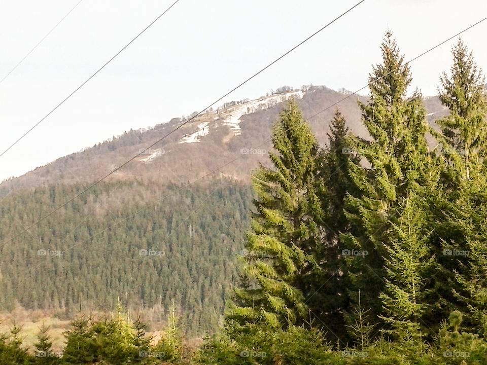 landscape shoted by the way,going to forest