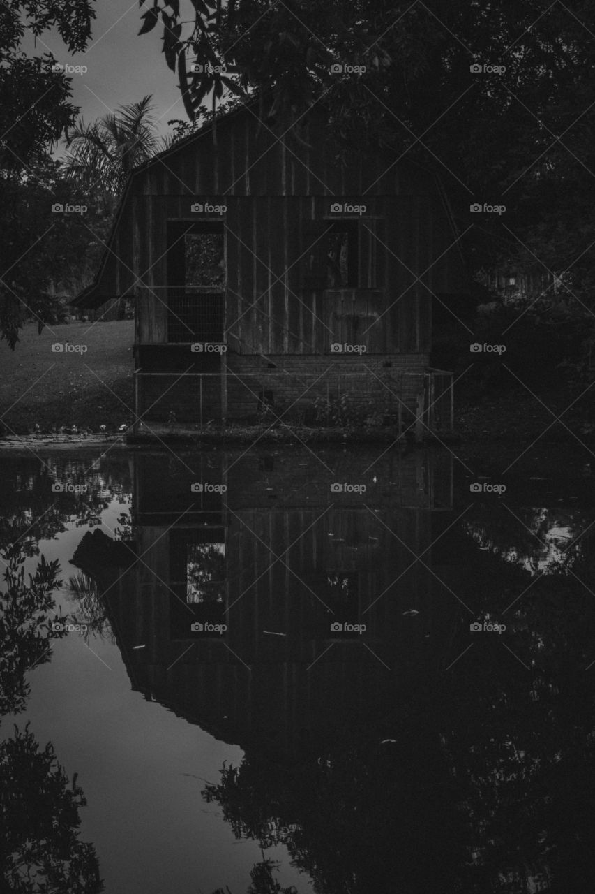 Hose reflection on a lake