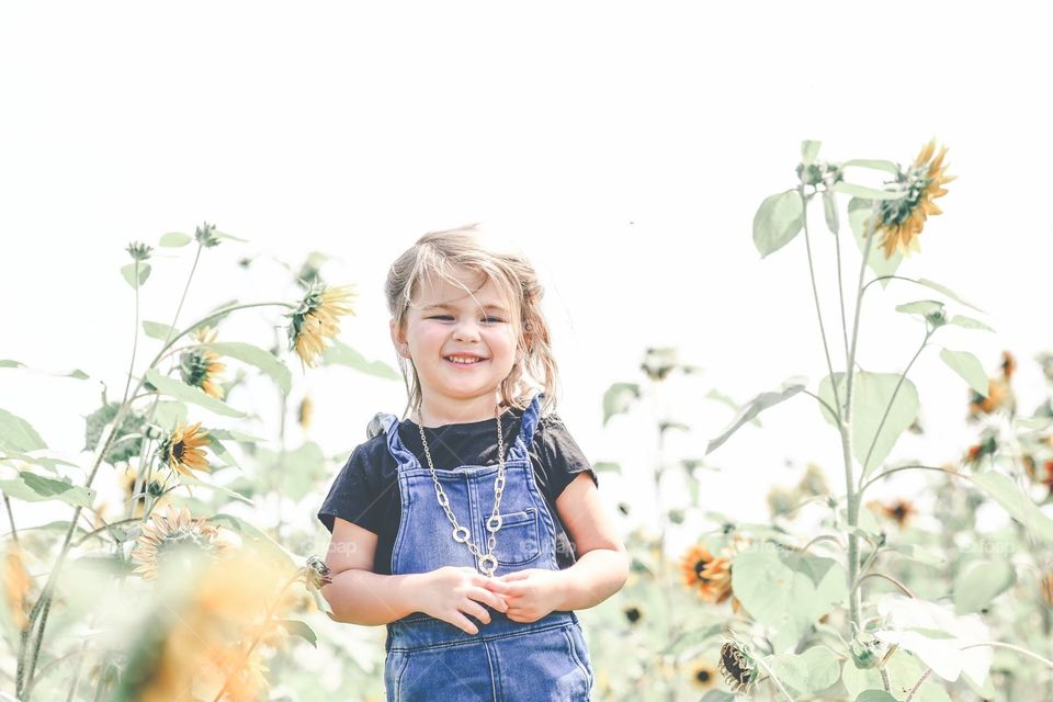 Beautiful toddler in a sunflower field 