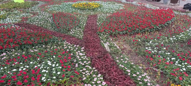 flower garden,