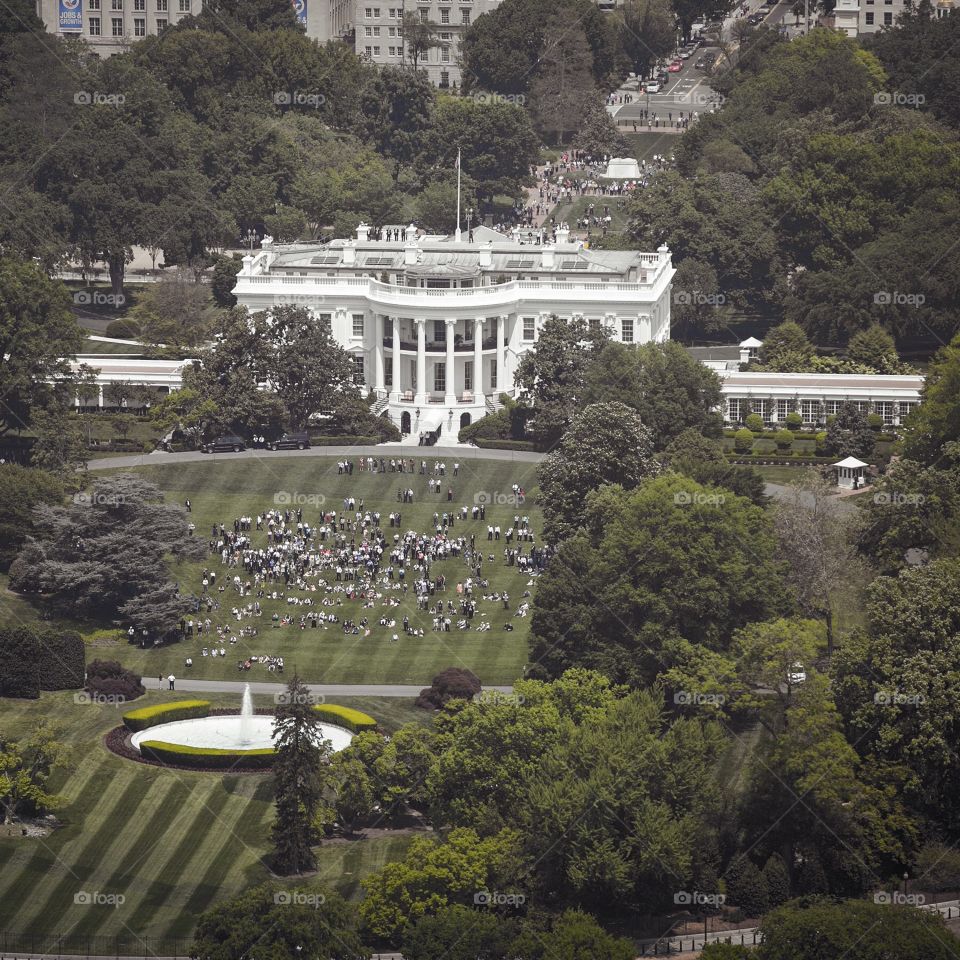 White House lawn 