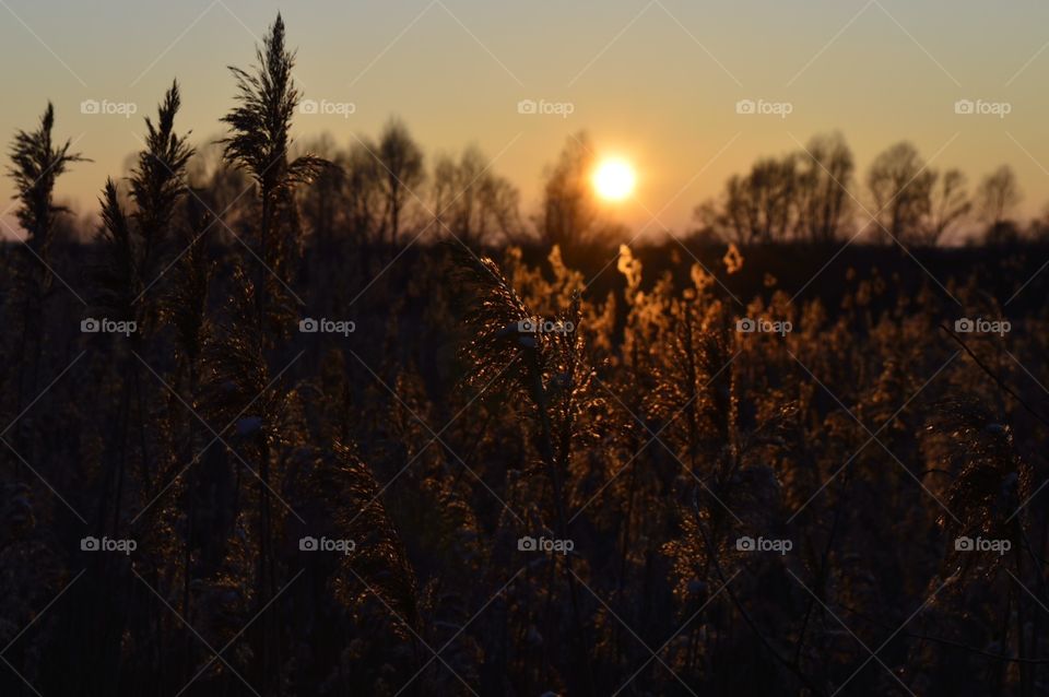 beautiful winter sunset