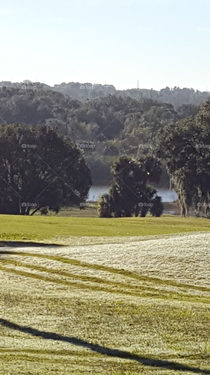 Golf Course Beauty