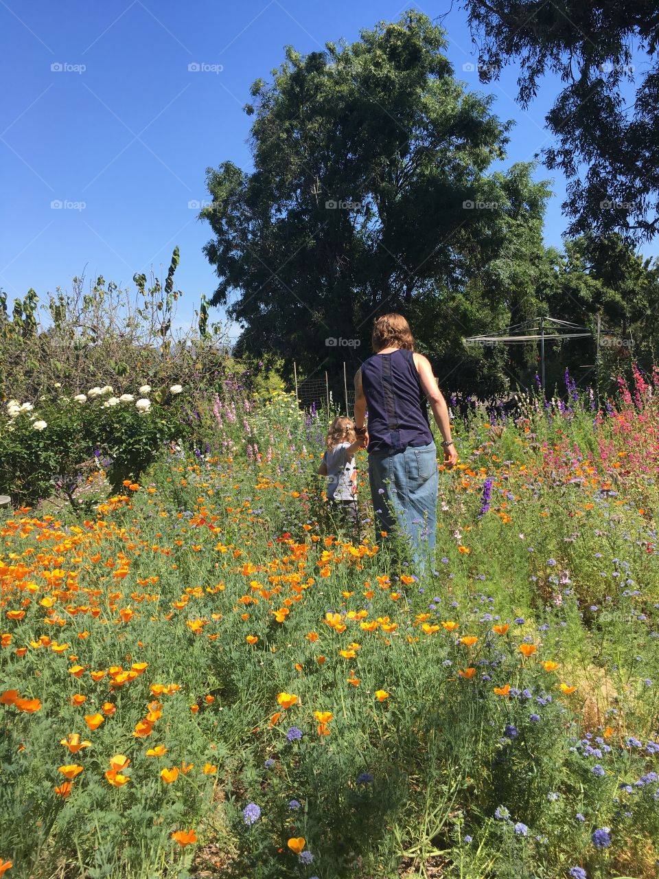 Walking through the garden with a child