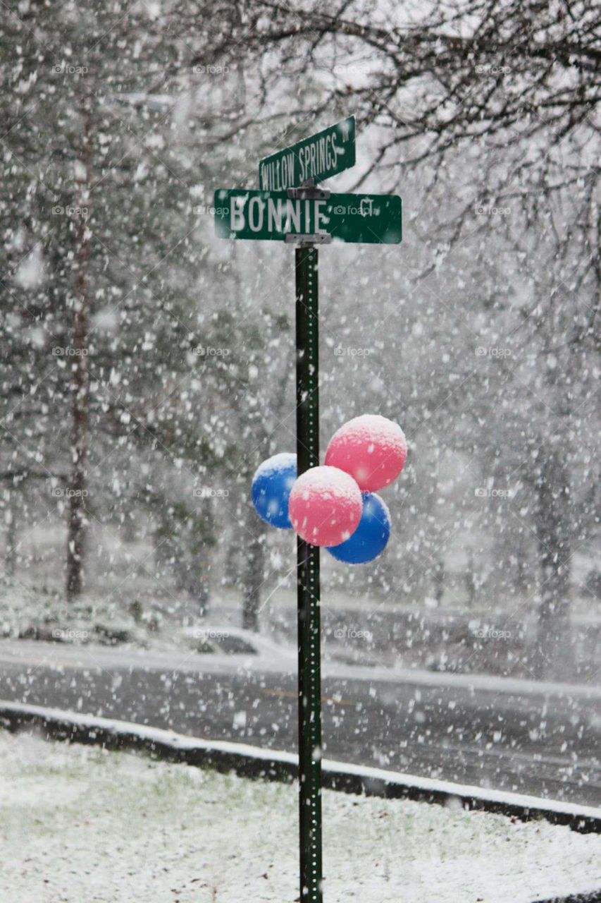 Balloons in Snow