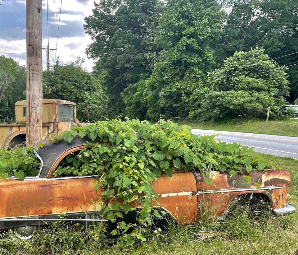 Growth pouring out of the old timers who watch the young fast cars race by on Rt. 151 in Piney River,  Virginia 