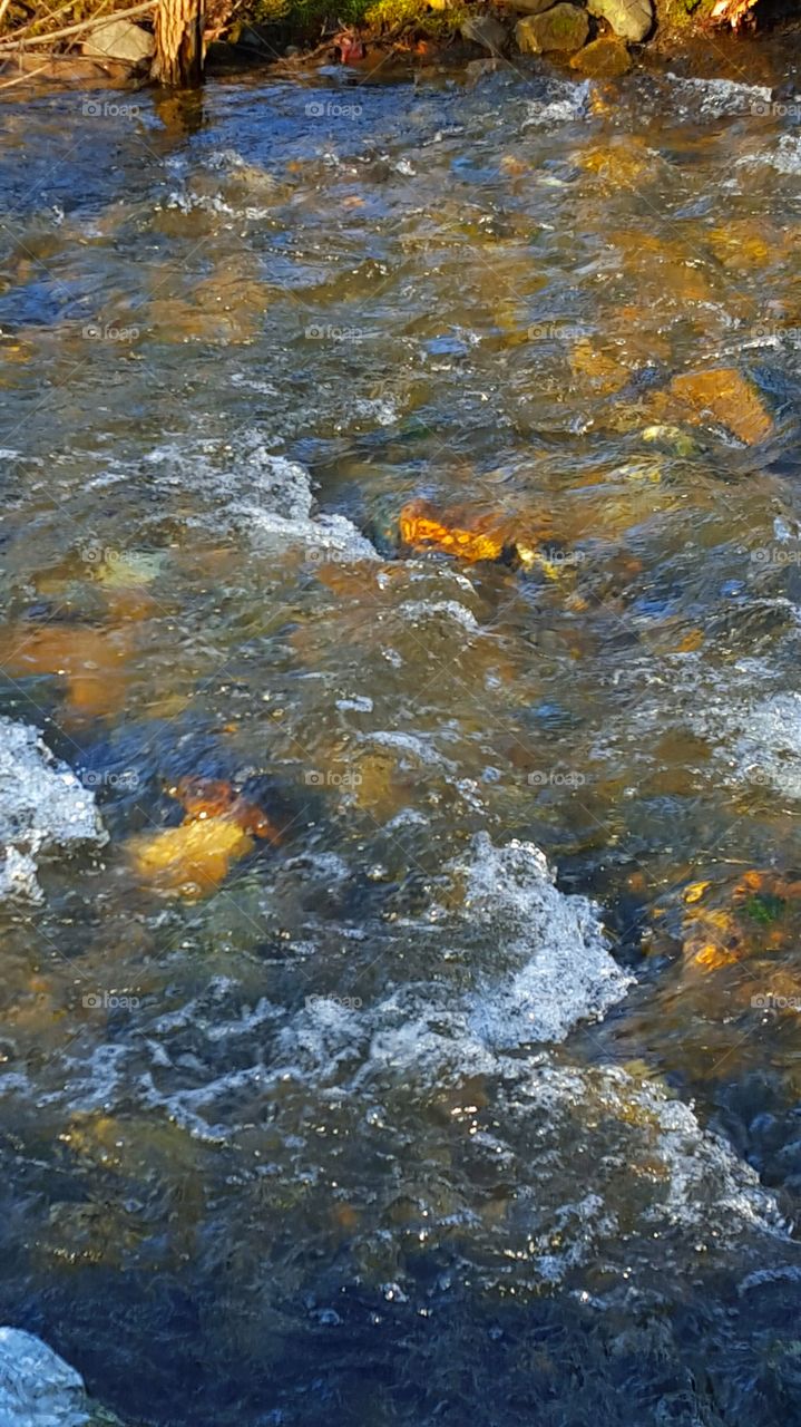 mountain stream