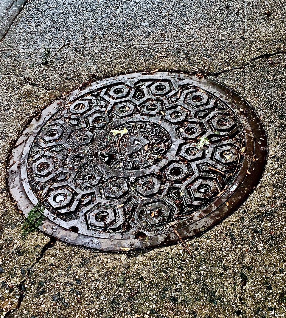A manhole cover on Waverly Street off Fulton St in Fort Greene, Bklyn on the sidewalk with ornamentation in the metal which gives it sort of the appearance of a giant turtle‘s shell. Photo from 2020. Hypnotic Productions