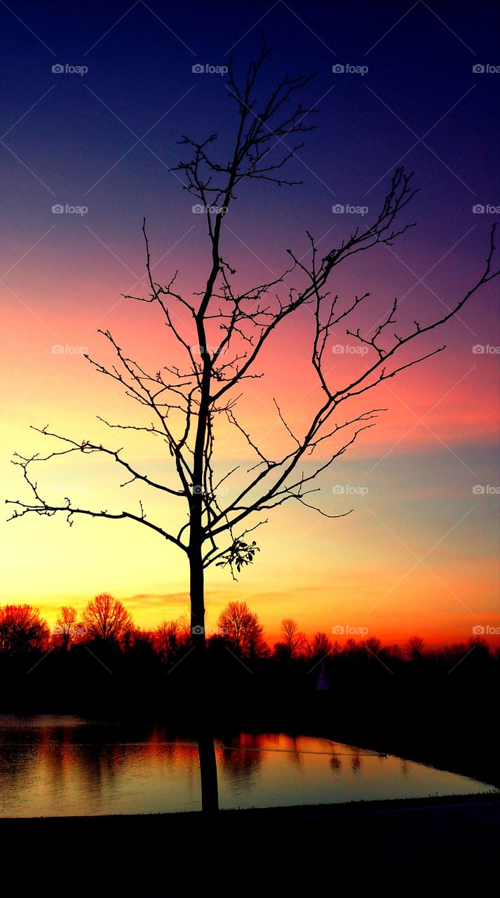 Sunrise trees clouds orange yellow blue