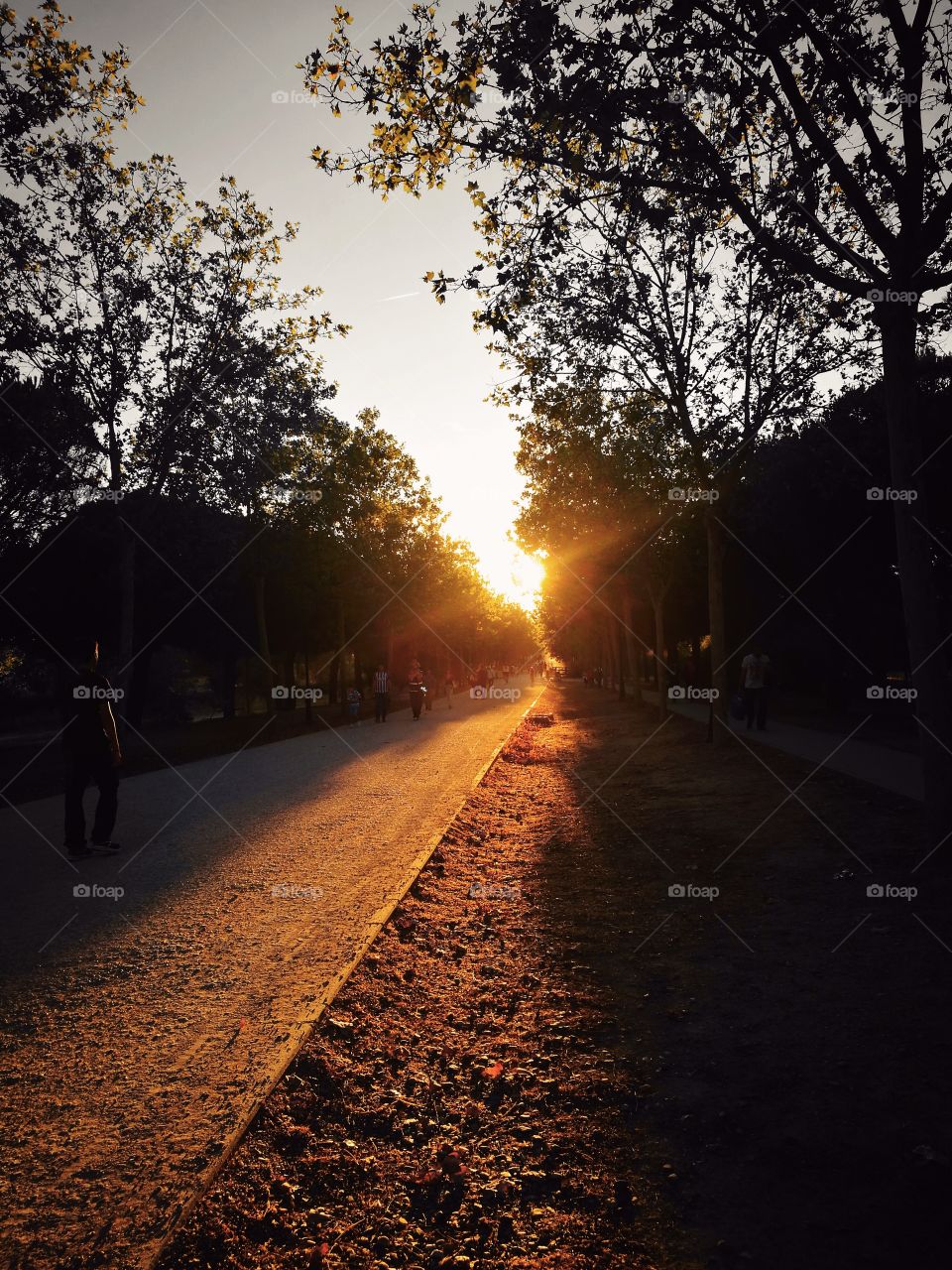 Road, Dawn, Sunset, Landscape, No Person