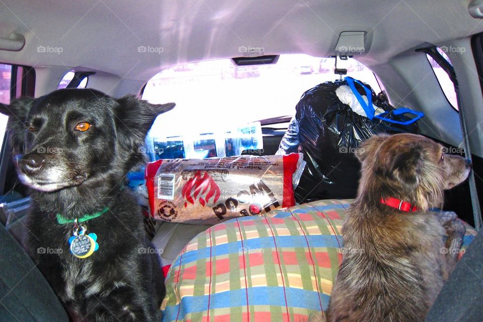 Road trip