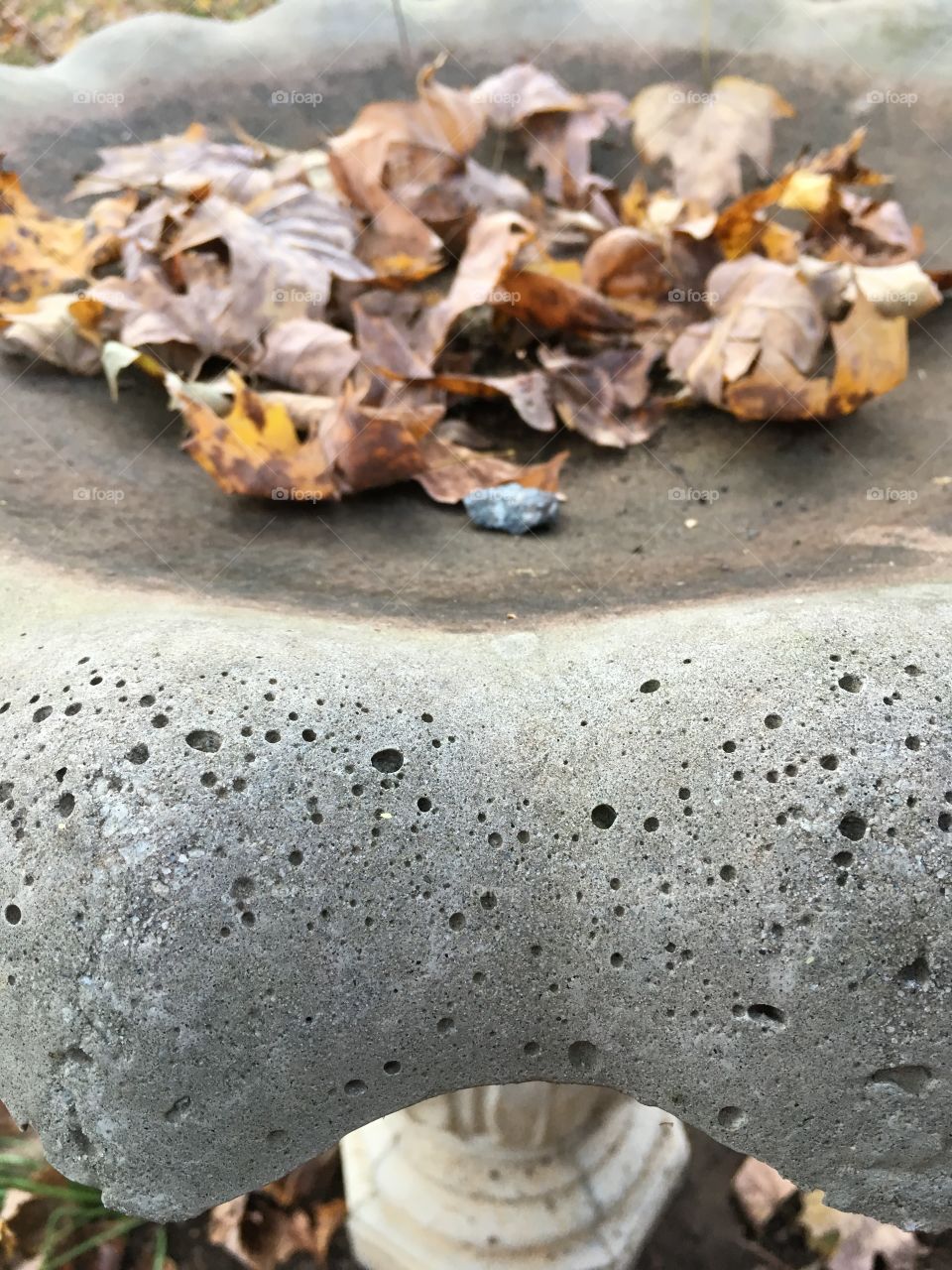 Autumn Birdbath (closeup on concrete birdbath)