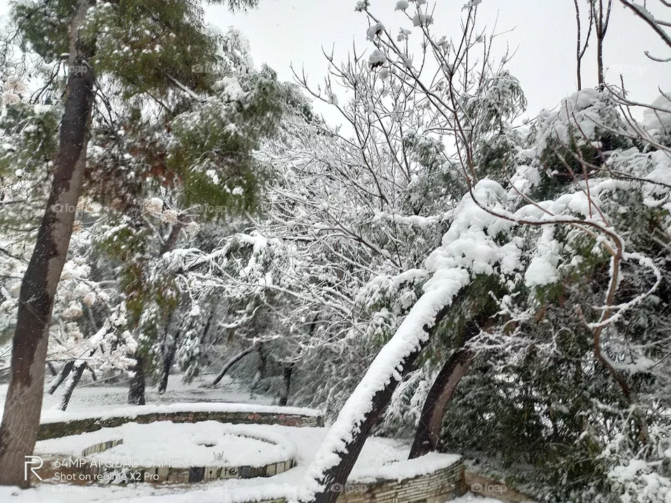 Snow in the round