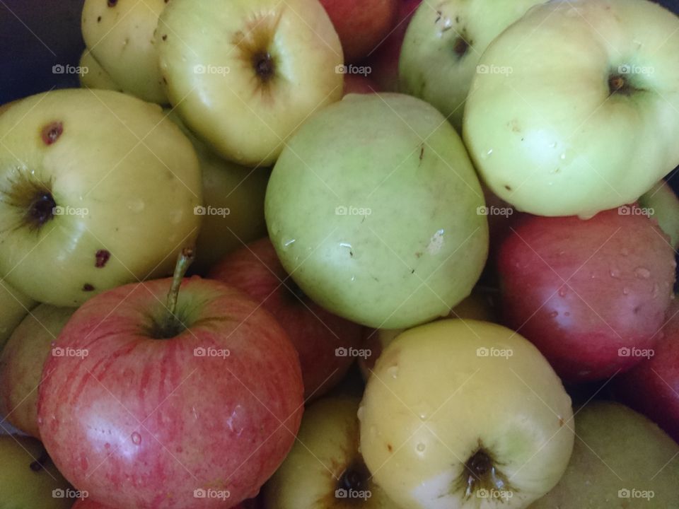 Fresh bio apples